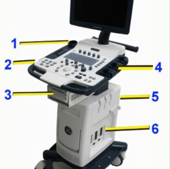 Ecograf  LOGIQ V5 Expert